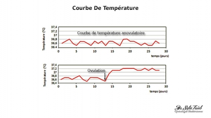 Courbe de température Courbe de température