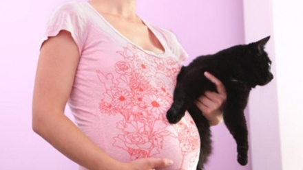 Toxoplasmose et grossesse