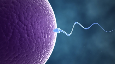 Les 5 Signes De L’Ovulation Que Vous Ne Connaissez Pas