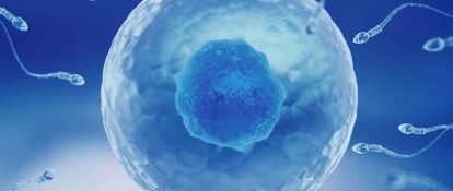 Pour Améliorez Votre Sperme – Changez Votre Régime Ameliorer Votre Sperme